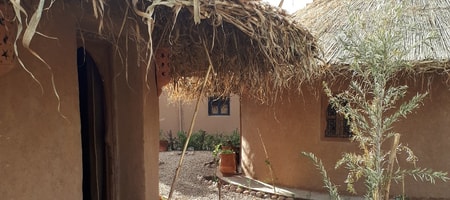 Eco Suite