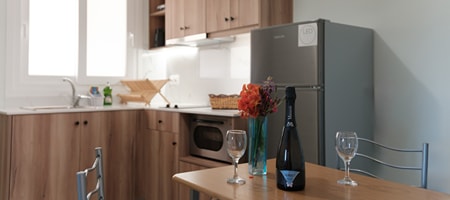 DELUXE APARTMENT FOR FOUR PERSONS