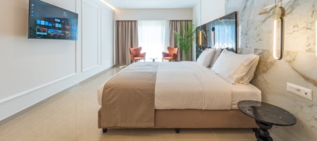 Deluxe Queen Suite | Capacity 2