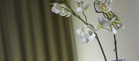 STYLISH DELUXE ROOM
