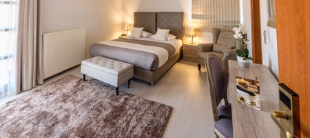 Elegant - Double or Twin room