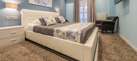 Blue Roses - Double Room