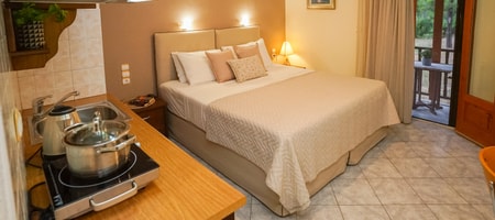 Economy Double Room with forest view