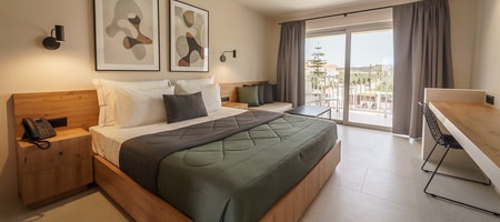Deluxe Room Pool View