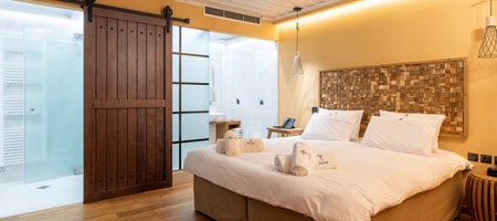 Superior Suite with Mountain View (Χ)