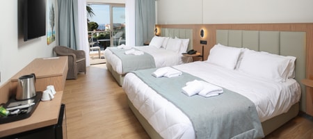 Flegra Palace Junior Suite
