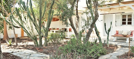 The Surfer's Nest