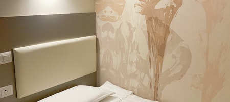 Superior Single Room