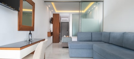 Suite with terrace on ground floor