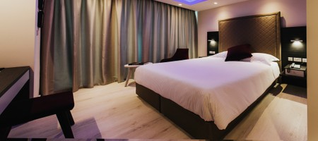 Standard Double / Twin Room with City View