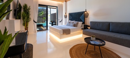 Deluxe Suite with Private Infinity Pool