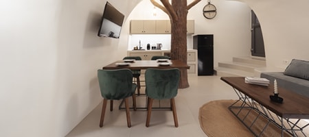 Εxecutive Suite with Outdoor Hot Tub