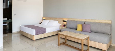 Standard Double Room with Side View