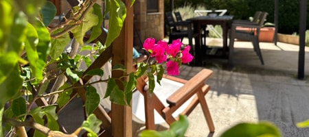 Garden view apartment