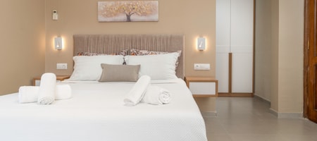 Triple Room with Balcony (Villa)