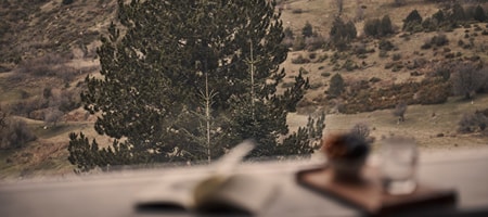 Superior Suite with Mountain View