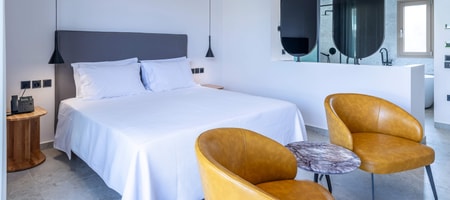 Standard Double Room With Sea View