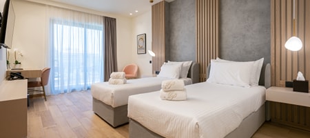Deluxe Twin Room with Balcony or Terrace