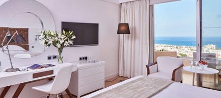 Standard Twin/Double Room side/partial Sea View