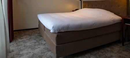 Junior Suite with Terrace [50m²]