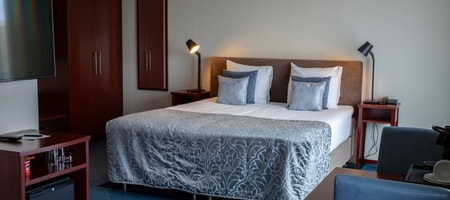 Superior Wellness Room [33m²]