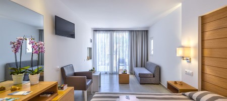 Superior  Room Garden View