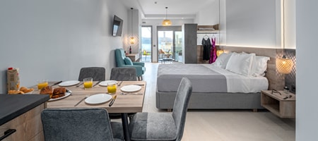 Mobility Accessible | Standard Apartment 1