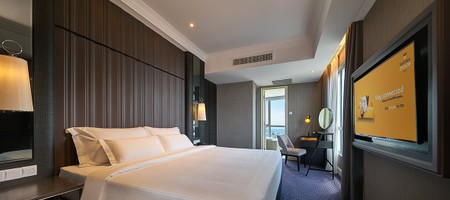 1 Bedroom Suite