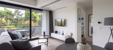 Deluxe Apartment with balcony
