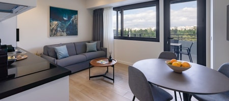 Penthouse Apartment