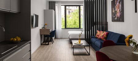 Deluxe Apartment