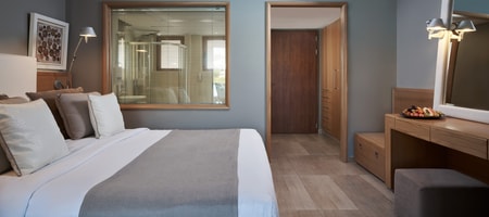 Double Room Swim Up Pool View with Outdoor Whirlpool (Deluxe Area)