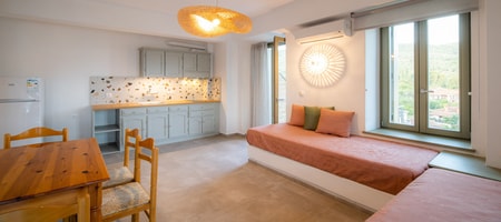 Deluxe Apartment with Terrace and Balcony