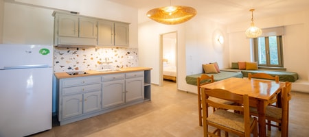 Deluxe Apartment with Balcony
