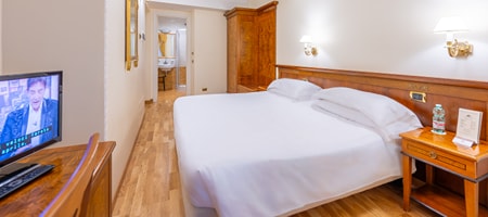 Double or Twin Room