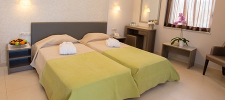 Economy Twin/Double Bed