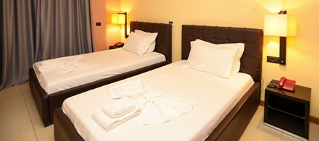 Double or Twin Room with Mountain View