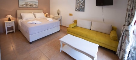 Standard Apartment