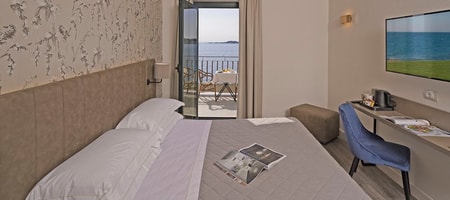 Double or Twin Room with Lake View and Balcony