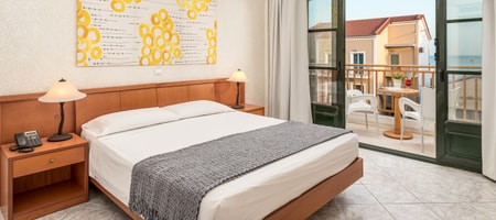Double/Twin room