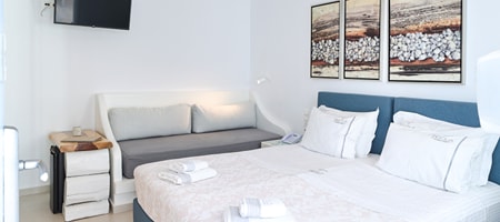 Classic Double Room [ no view ]