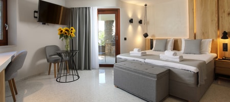 IKAROS CLASSIC GARDEN VIEW DOUBLE