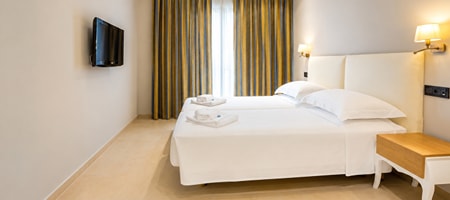Classic Double or Twin Room