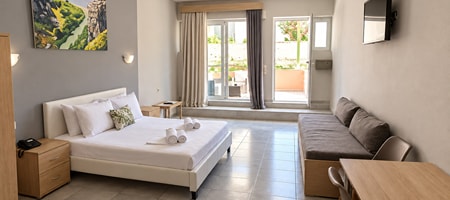 Economy Studio with Terrace