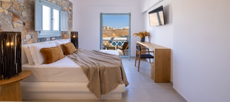 Deluxe Room 4
