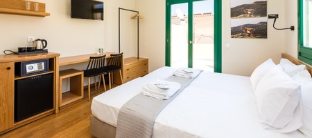 Twin Room with Terrace