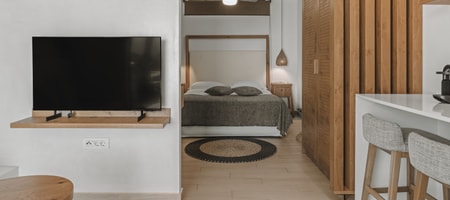 Deluxe One Bedroom Apartment Sea View