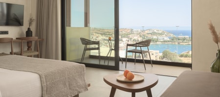 Superior Open Plan Apartment Sea View