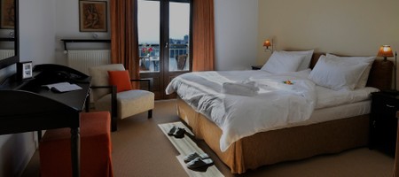 Double Standard Room