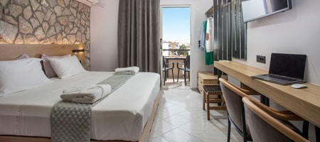Deluxe Double or Twin Room